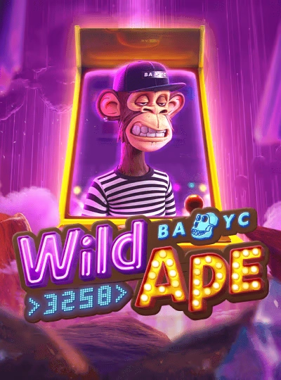 bongo7